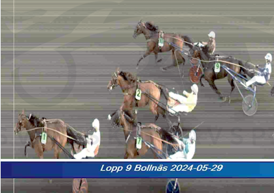 Screenshot 2024-05-30 at 09-41-14 fly equos jet - Google Suche