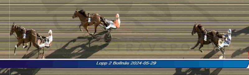 Screenshot 2024-05-30 at 09-41-50 Svensk Travsport