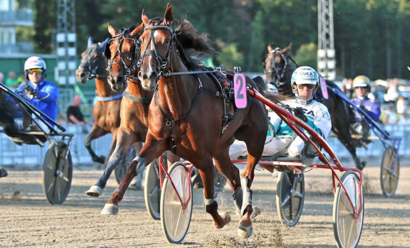 Screenshot 2024-08-18 at 20-31-33 S.G.Empress snabbare än grabbarna som okörd · Senaste nyheterna om trav · Travronden