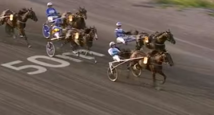 Screenshot 2024-08-25 at 10-20-26 sundsvall open trot - Google Suche