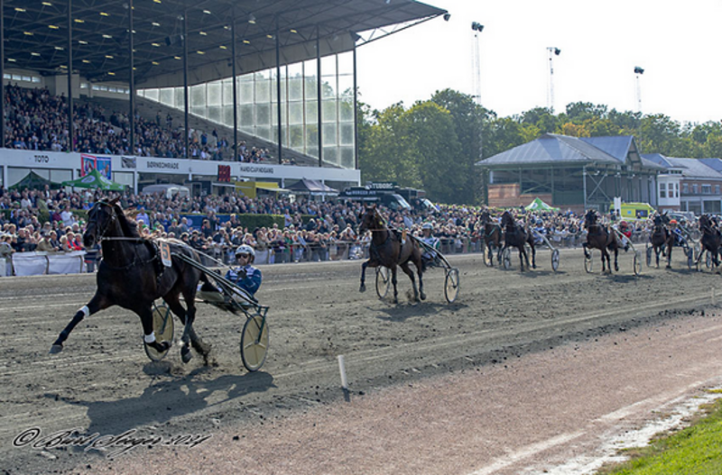 Screenshot 2024-08-26 at 12-29-26 11. løb Icebraeker vandt Dansk Trav Derby 2024 - Travet.dk
