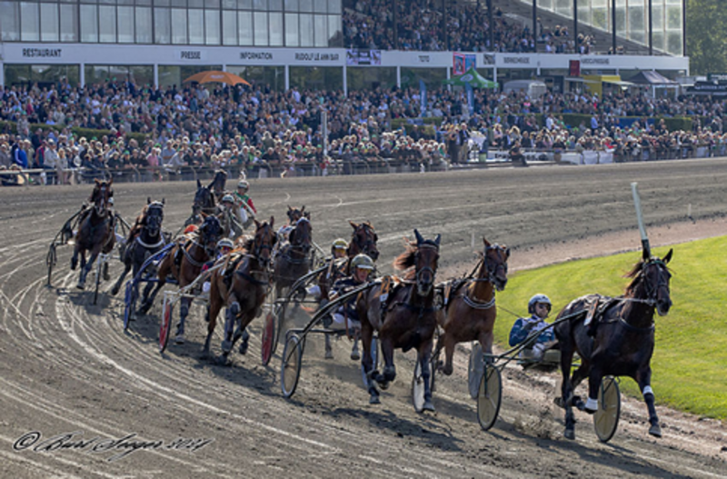 Screenshot 2024-08-26 at 12-29-42 11. løb Icebraeker vandt Dansk Trav Derby 2024 - Travet.dk
