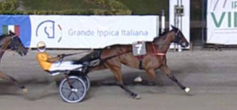 Screenshot 2024-09-02 at 15-32-44 Gocciadoro sweeps Marangoni splits at Torino - Harnesslink