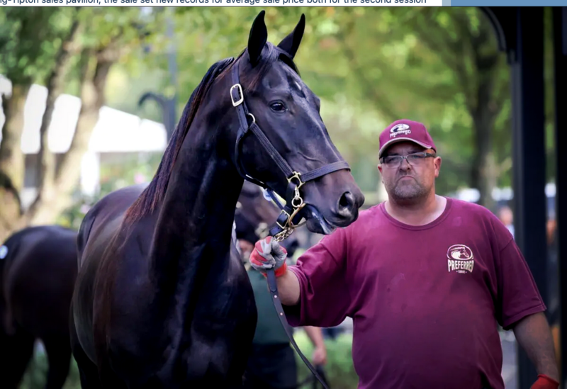 Screenshot 2024-10-02 at 18-11-57 Through two days Lexington Sale has set a record for average - Harness Racing Update