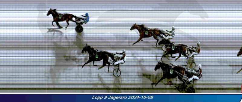Screenshot 2024-10-09 at 10-31-53 Svensk Travsport
