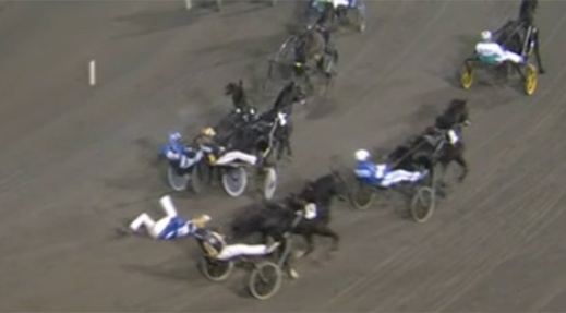 Screenshot 2024-11-10 at 08-05-57 phoenix photo ohlsson - Google Suche
