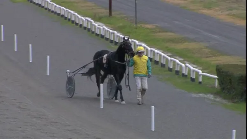 Screenshot 2024-12-09 at 12-38-26 Gran Premio Duomo - Google Suche