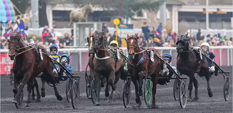 Screenshot 2024-12-30 at 15-04-23 Quinté Prix de Bourgogne - Amérique Races Q5 La réaction des autres qualifiés Equidia