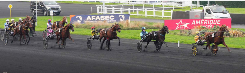 Screenshot 2025-01-13 at 12-11-19 AMERIQUE RACES - PRIX D'AMERIQUE - SITE OFFICIEL