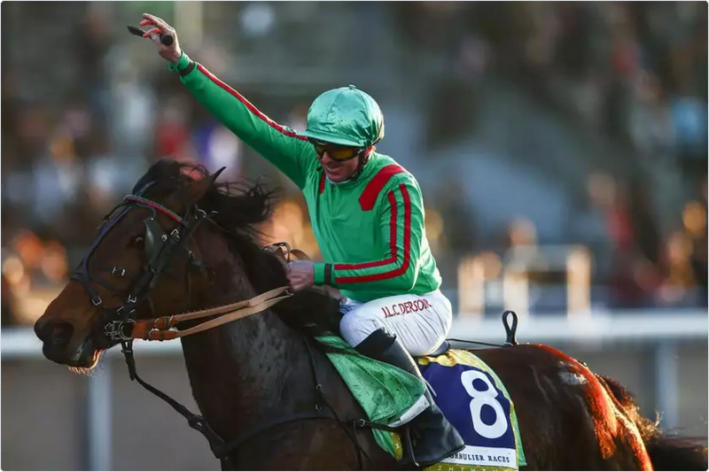Screenshot 2025-02-03 at 16-34-03 Prix de l’Ile-de-France Cornulier Races 2025 Ina du Rib avec classe ! Equidia