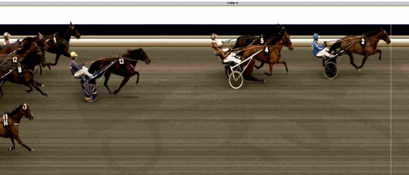Screenshot 2025-03-09 at 10-54-36 Svensk Travsport