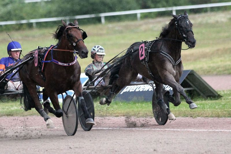 Screenshot 2025-07-03 at 11-55-36 Drei Trainer-Doppel und die Favoriten in den TCT-Gold Cups - Hamburger Trab-Zentrum e.V