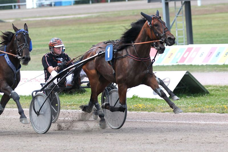 Screenshot 2025-07-03 at 11-56-54 Drei Trainer-Doppel und die Favoriten in den TCT-Gold Cups - Hamburger Trab-Zentrum e.V