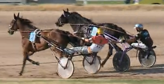 Screenshot 2025-07-06 at 10-29-25 Ügető Eredmények _ Trotting Results