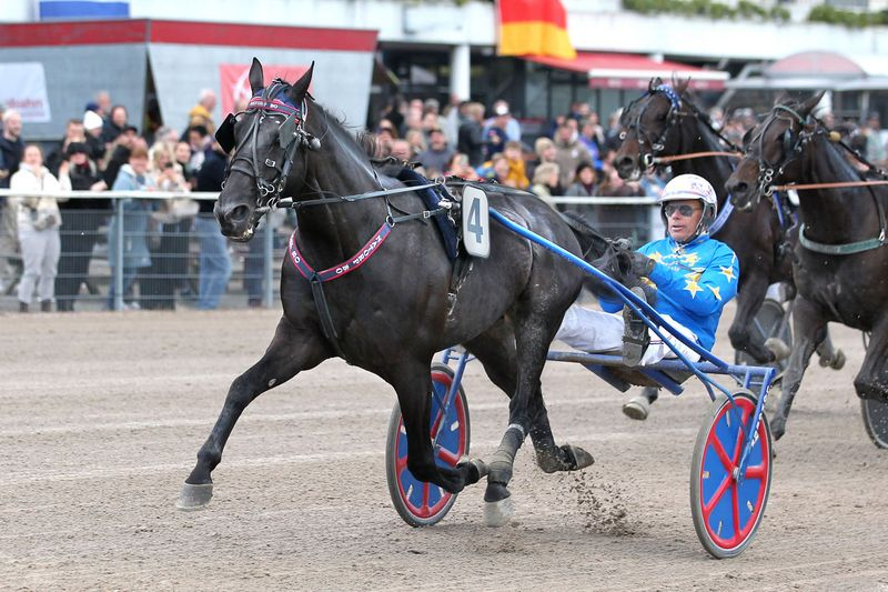 Screenshot 2025-09-30 at 12-55-00 23 Top-Traber im Grand Prix - Hamburger Trab-Zentrum e.V