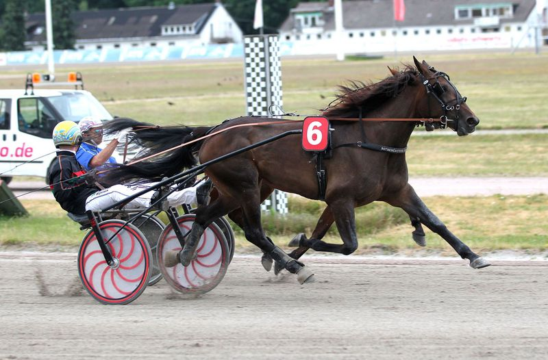 Screenshot 2025-09-30 at 12-56-22 23 Top-Traber im Grand Prix - Hamburger Trab-Zentrum e.V