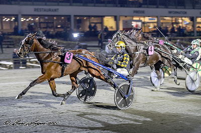 Screenshot 2025-11-10 at 17-35-25 Lunden søndag Flot sport men kun to danske vindere! TRAVSERVICE Screenshot 2025-11-10 at 17-35-25 Lunden søndag Flot sport men kun to danske vindere! TRAVSERVICE