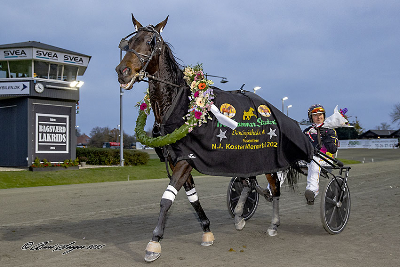 Screenshot 2025-11-10 at 17-35-33 Lunden søndag Flot sport men kun to danske vindere! TRAVSERVICE Screenshot 2025-11-10 at 17-35-33 Lunden søndag Flot sport men kun to danske vindere! TRAVSERVICE