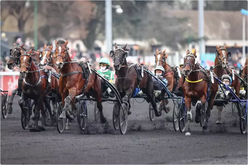 Screenshot 2025-12-28 at 16-47-39 Quinté Prix de Bourgogne-Amérique Races Q5 Jushua Tree au forceps Equidia