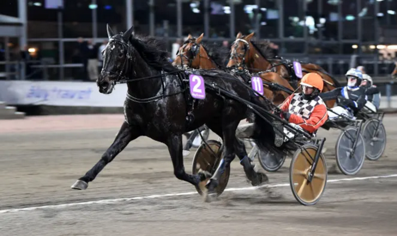 Screenshot 2026-04-24 at 12-41-31 Erik Adielsson och måldomare om körning utanför bangränsen · Senaste nyheterna om trav · Travronden