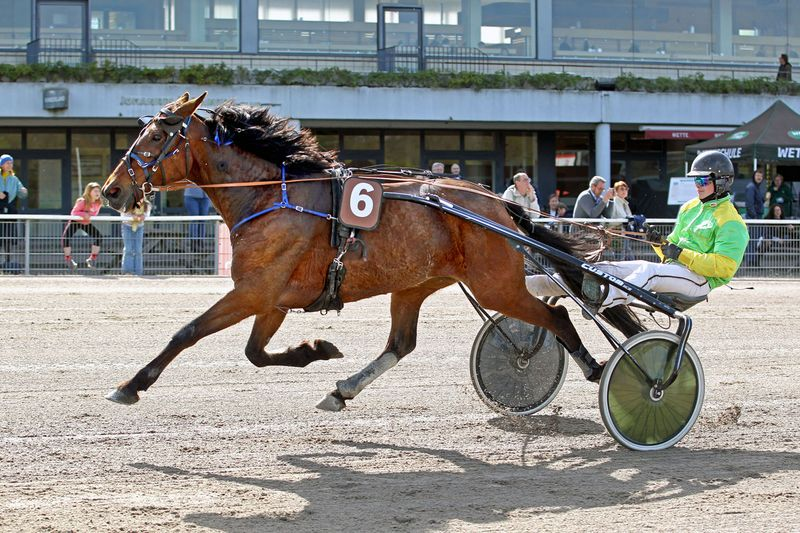 Screenshot 2026-04-27 at 12-04-07 Erste Siege in Deutschland - Hamburger Trab-Zentrum e.V