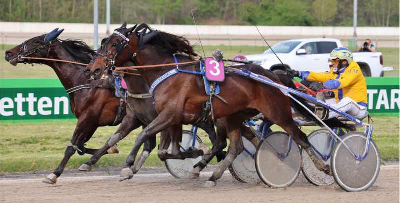 Screenshot 2026-04-28 at 09-24-13 WEB.DE Premium