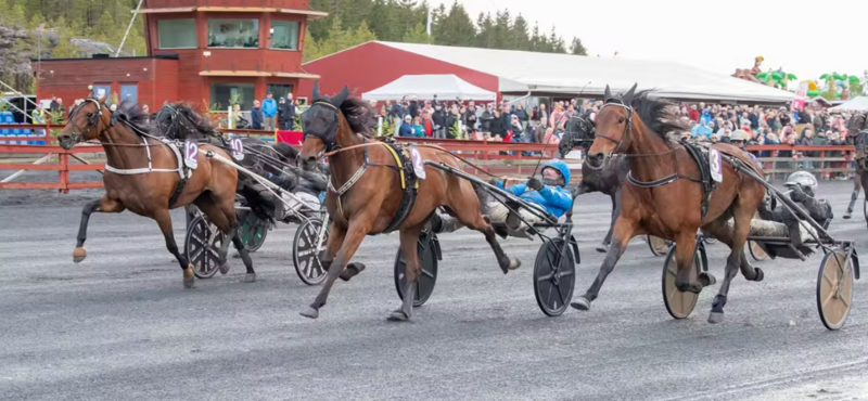 Screenshot 2026-05-17 at 09-31-51 Riverdale Z. storskrällde på V85 – efter stor dramatik