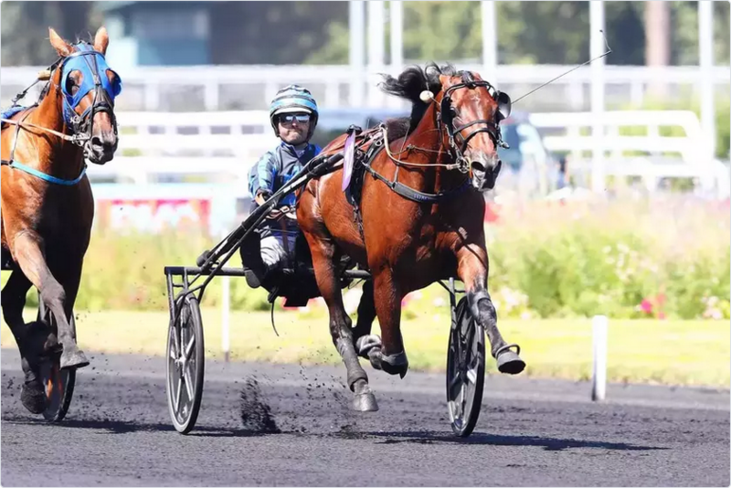 Screenshot 2026-06-21 at 21-00-00 Dimanche à Vincennes - Prix René Ballière UET Elite Circuit #10 Idao de Tillard en patron Equidia Screenshot 2026-06-21 at 21-00-00 Dimanche à Vincennes - Prix René Ballière UET Elite Circuit #10 Idao de Tillard en patron Equidia