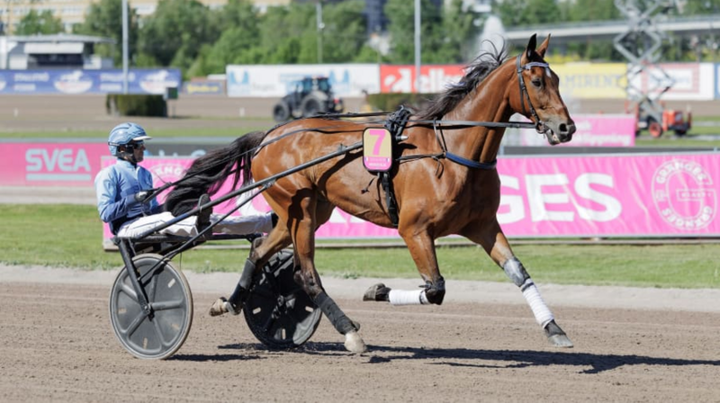 Screenshot 2026-06-26 at 08-14-01 Bazire tveksam till valacker i Prix d'Amérique · Senaste nyheterna om trav · Travronden Screenshot 2026-06-26 at 08-14-01 Bazire tveksam till valacker i Prix d'Amérique · Senaste nyheterna om trav · Travronden