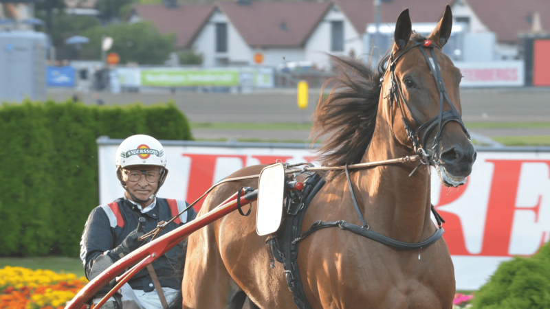 Screenshot 2026-07-21 at 15-05-27 BERNDT LINDSTEDT 90 ÅR - Solvalla