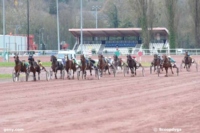 Screenshot_2019-03-06 1 GENYcourses - PMU, Quinté, Tiercé Résultats et pronostics des courses