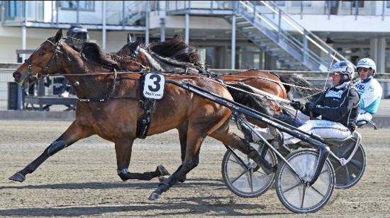 Screenshot_2021-05-09 Drottning Silvias Pokal – Google Suche