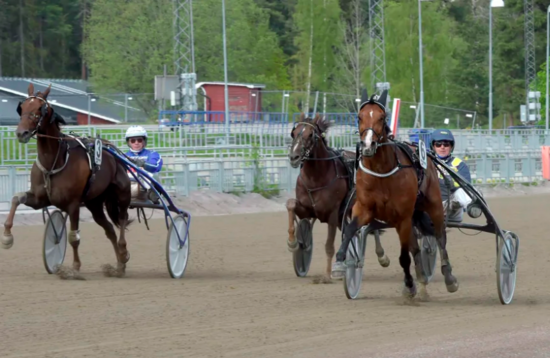 Screenshot_2021-05-23 Så kördes V75-loppen