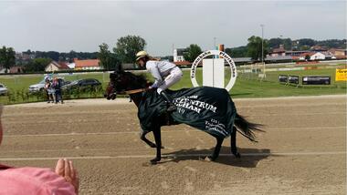 Sieger Ronja und Garry