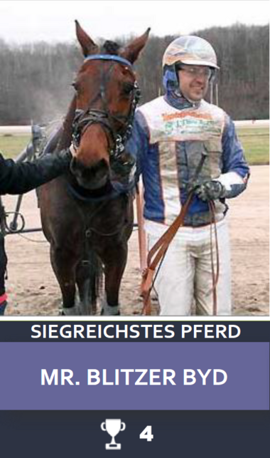 Siegreichstes Pferd