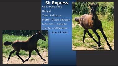 Sir Express