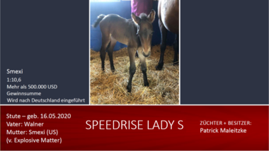 Speedrise Lady S
