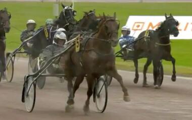 SprinterMästaren 1.VL
