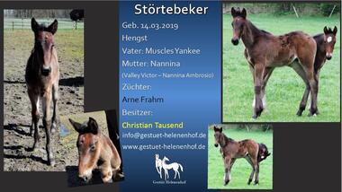 Störtebeker