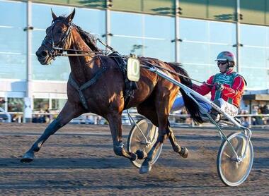 Super-Trot-Cup-Jaegersro-1_imagelarge