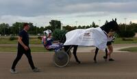 Super Trot Cup