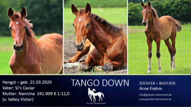 Tango-Down