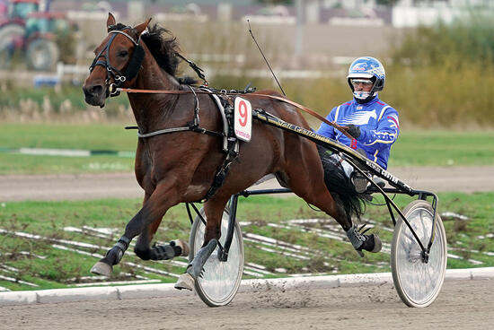 Thomas Panschow und Virginias Prime Foto Marius Schwarz