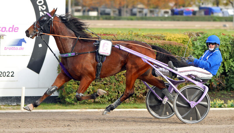 Thorsten Tietz und Perfecto Foto Marius Schwarz