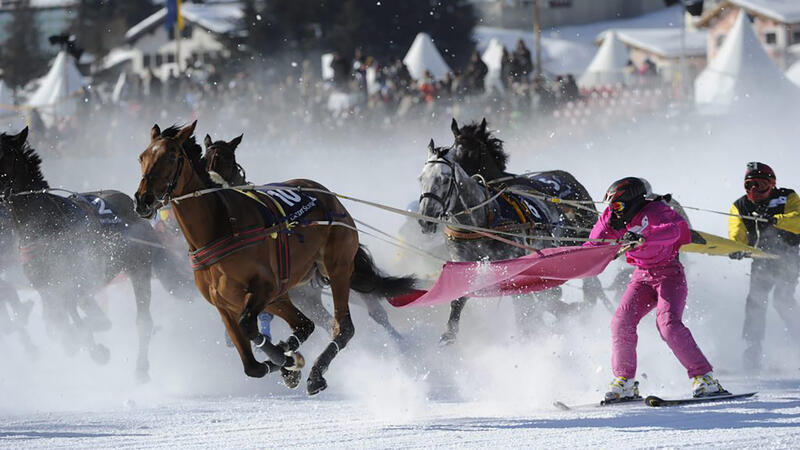 thumb_white-turf-2018