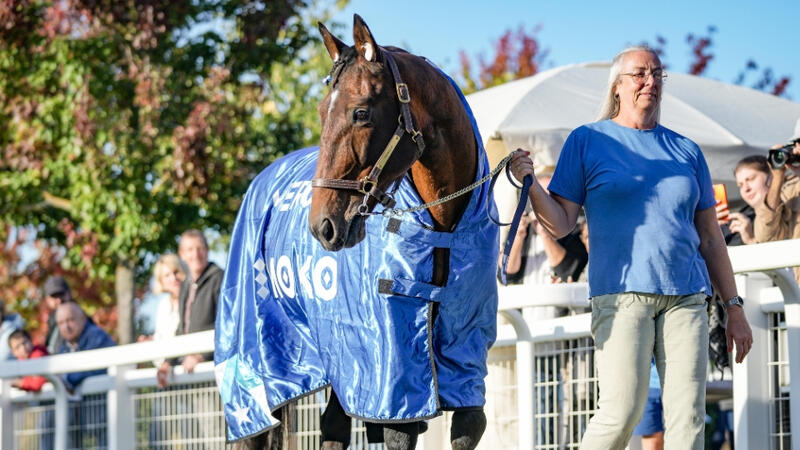 timoko-241023-67193e616b642845832973