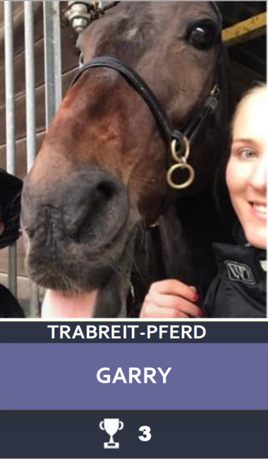 Trabreit-Pferd