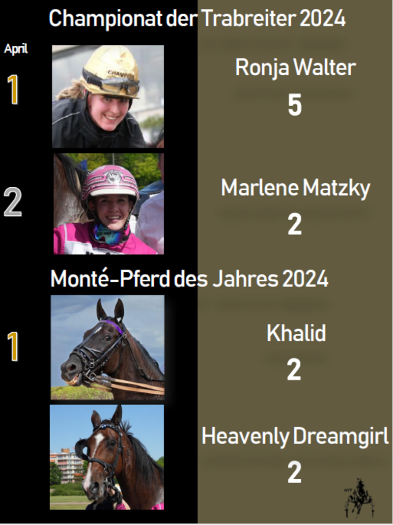 Trabreiter-Montépferd