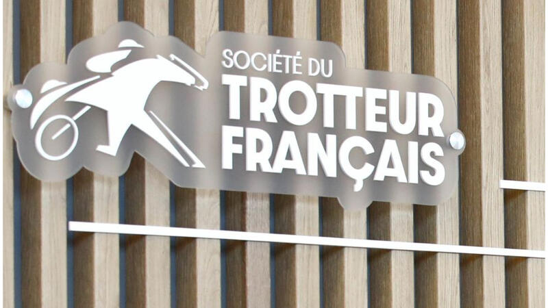 Trotteur Francais neu 1