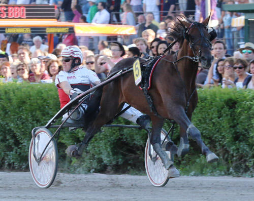 Tsunami-Diamant-Derbysieger-2017